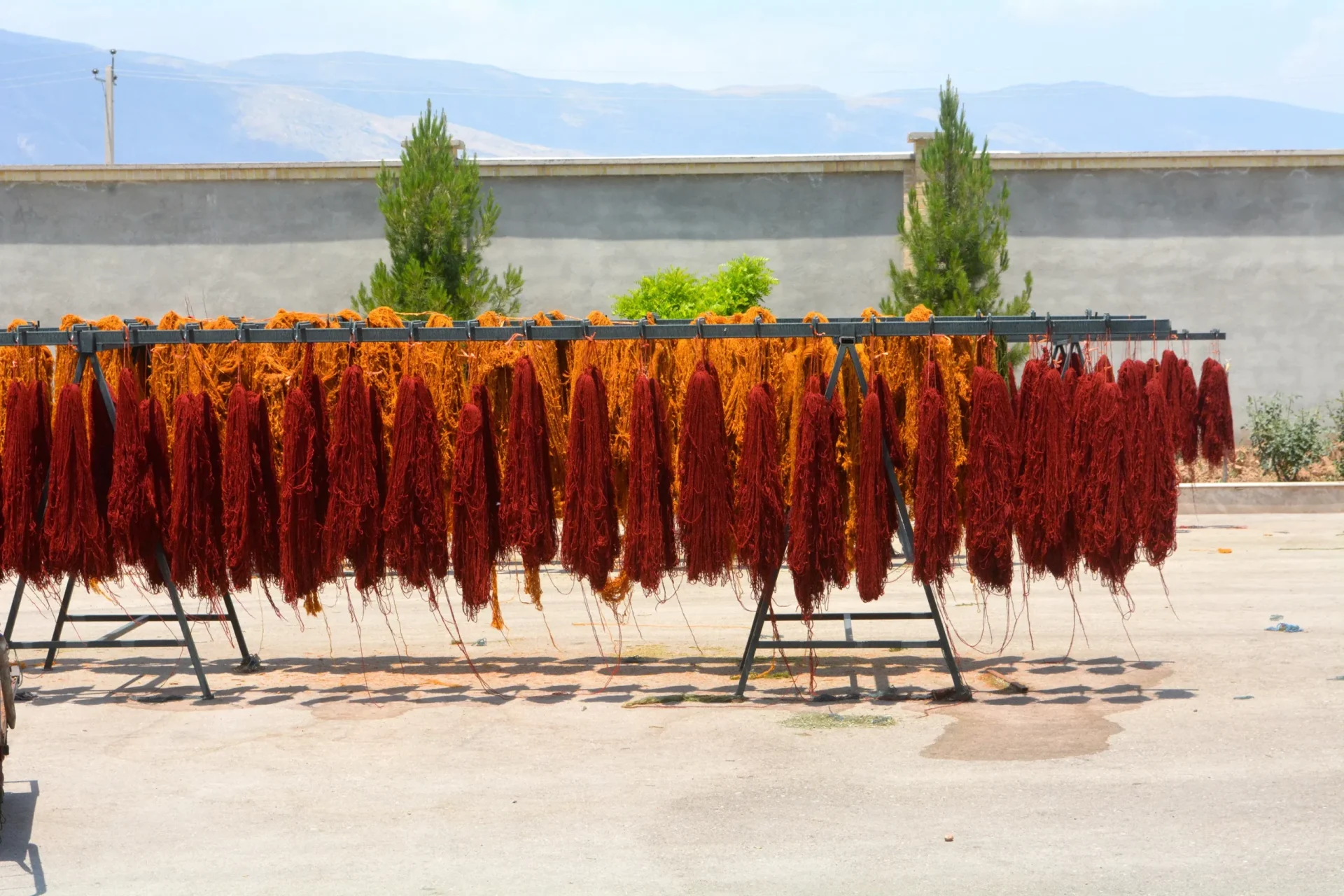 someito_dry_red_orange